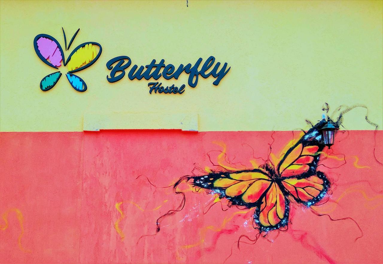 Butterfly Hostel Puerto Iguazú Exterior foto